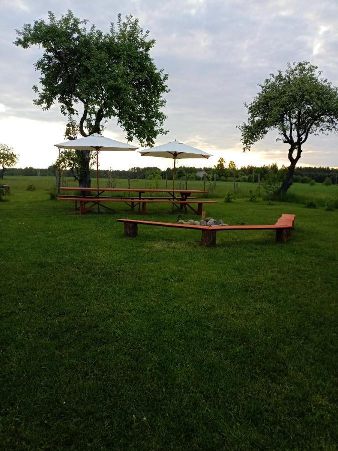 Agroturystyka Podlasie Dobrzyniewo Duze Bagian luar foto
