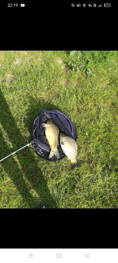 Agroturystyka Podlasie Dobrzyniewo Duze Bagian luar foto